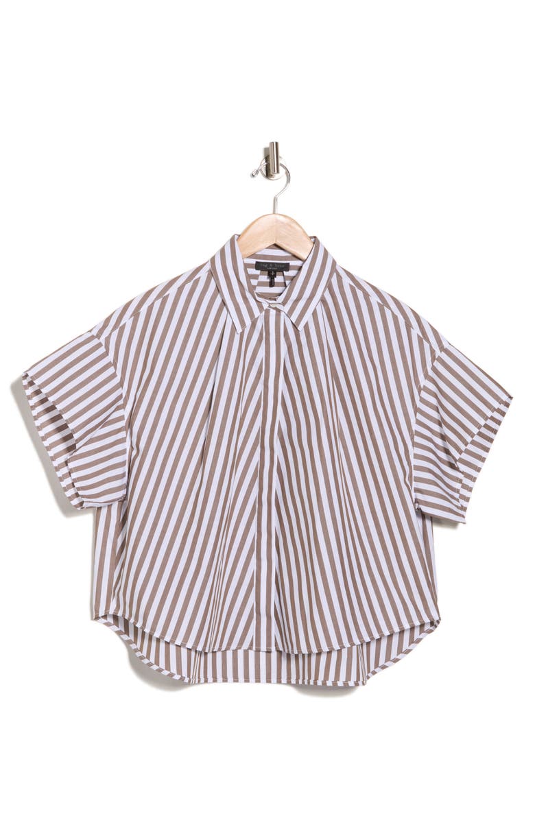 rag & bone Maura Stripe Cotton Poplin Button-Up Shirt, Alternate, color, Brown Strpe