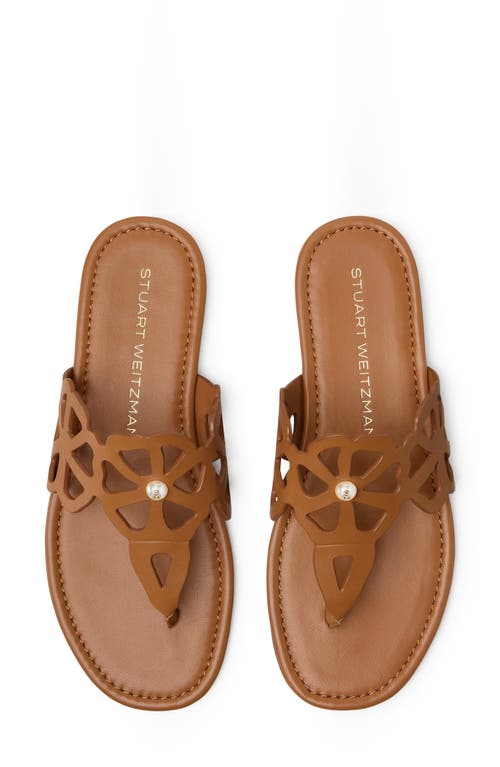 Stuart Weitzman Jasmine Cutout Sandal