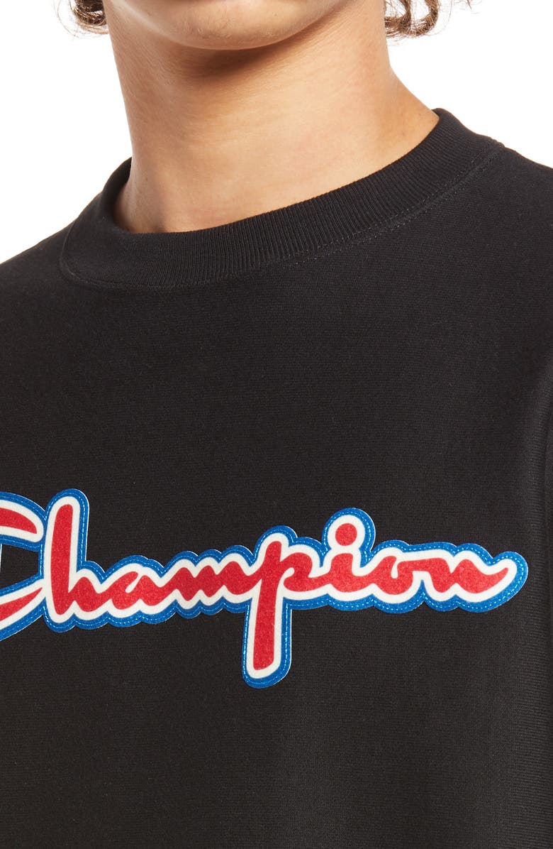 Champion Men's Reverse Weave<sup>®</sup> Crewneck Sweatshirt, Alternate, color, 