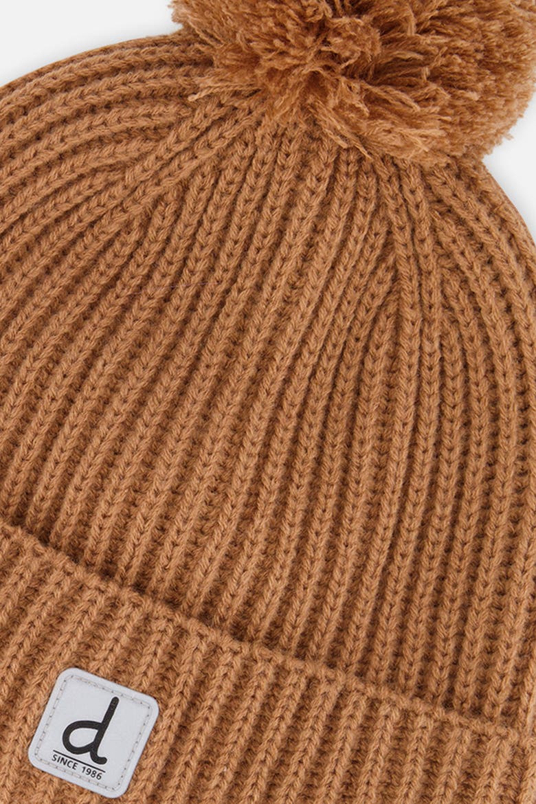 Mountain Fleece-Lined Folded Cuff Knit Hat with Pompom, Alternate, color, Brown