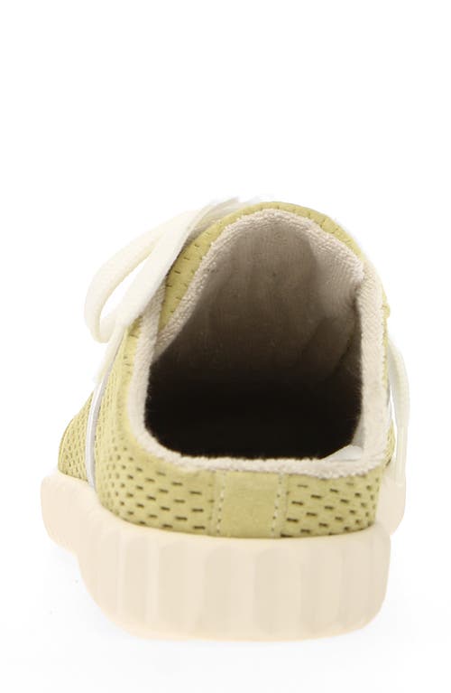 VOILE BLANCHE VOILE BLANCHE INES MULE