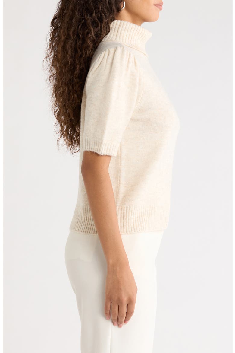 Turtleneck Short Sleeve Sweater, Alternate, color, MALTED