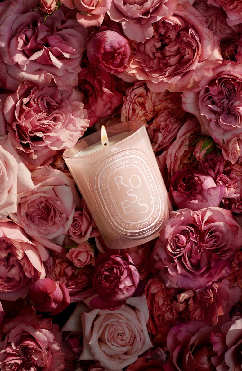 Diptyque Roses Medium Candle, Alternate, color, 