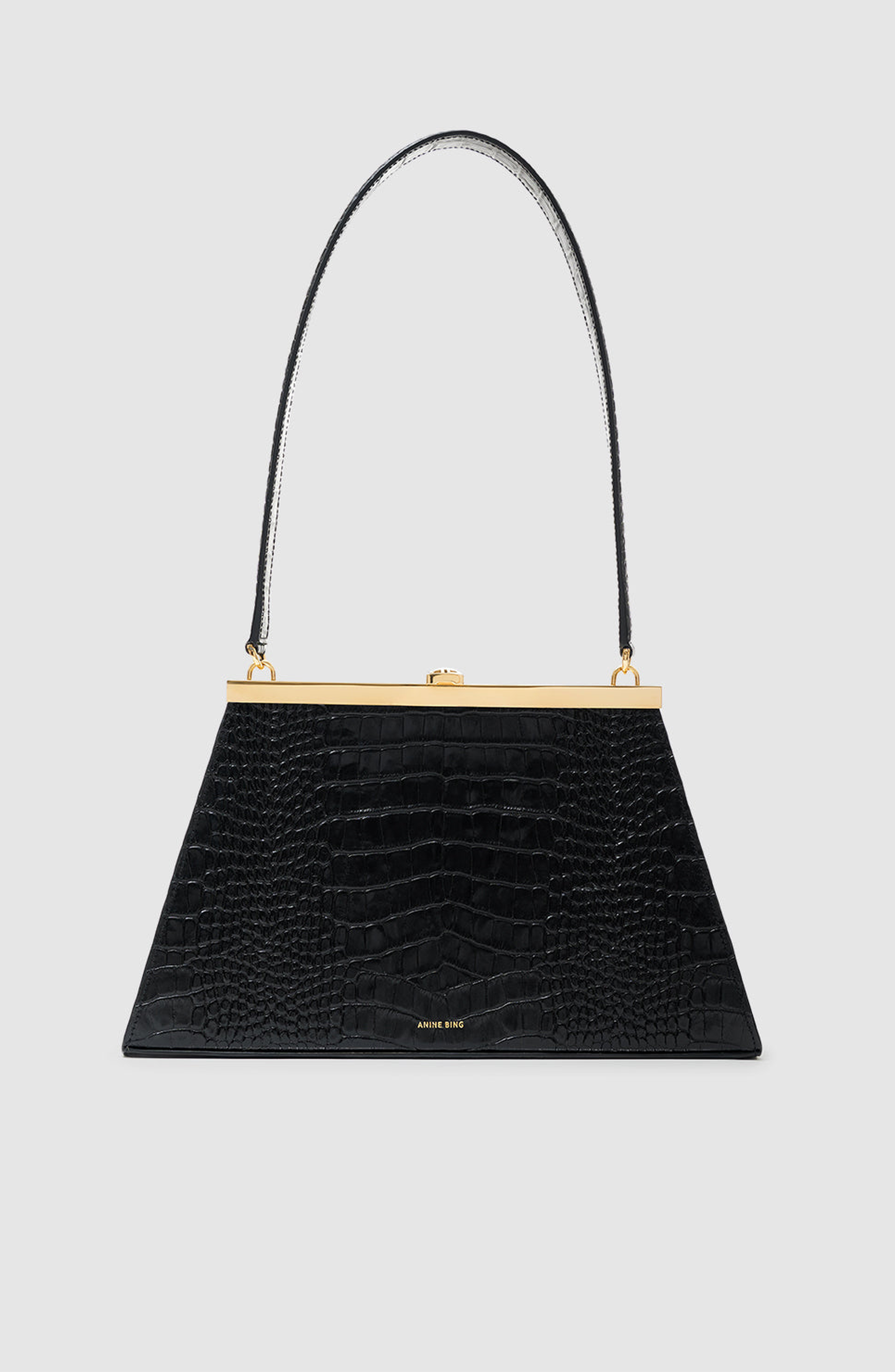 ANINE BING Anine Bag, Main, color, 