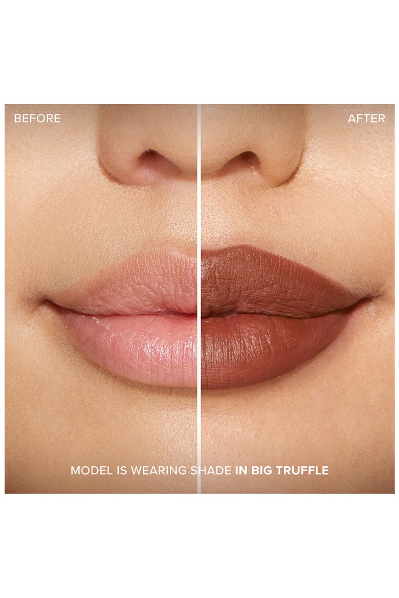 Lip Injection Extreme Lip Shaper Plumping Lip Liner, Alternate, color, IN BIG TRUFFLE