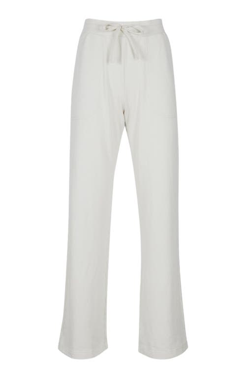 Vitality Remedy Carpenter Pant In Neutral