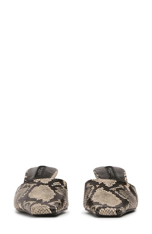 Tony Bianco Zubi Ecru Snake In Ecru Snake