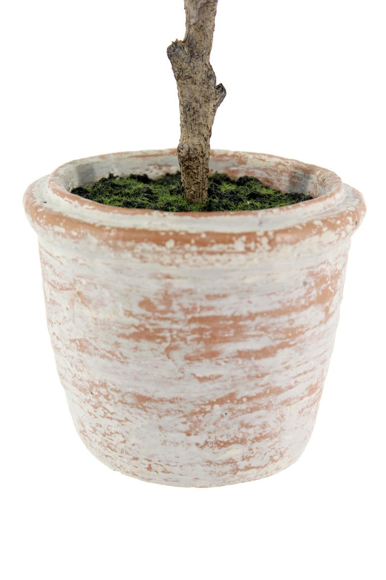 10" Eucalyptus and 16" Citrus Faux Topiary Set, Alternate, color, Green