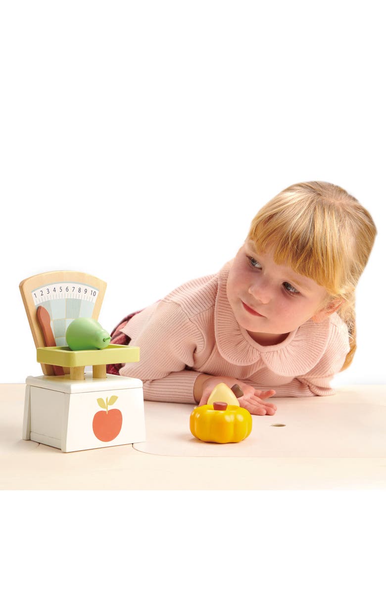 Tender Leaf Toys Wooden Market Scale, Alternate, color, Multi
