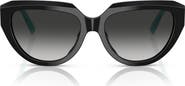 Tiffany & Co. 55mm Pillow Sunglasses