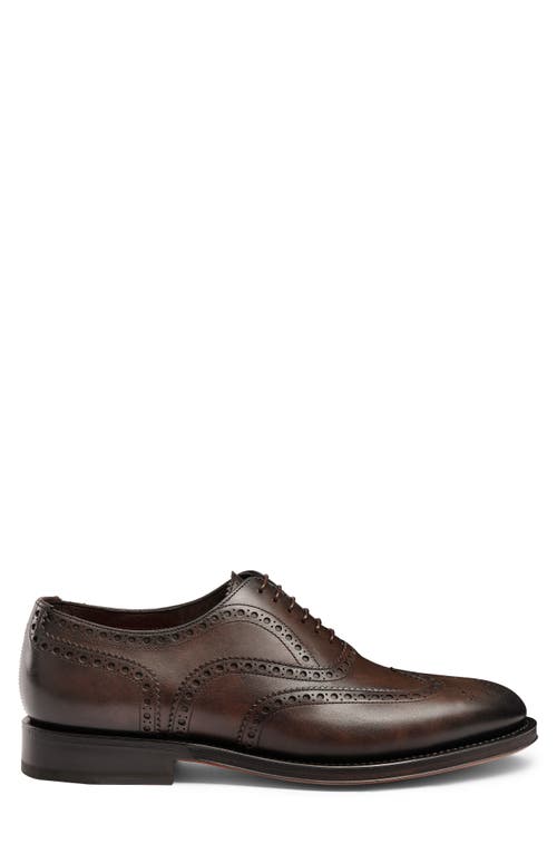 Santoni Enrico Brogue Wingtip Oxford