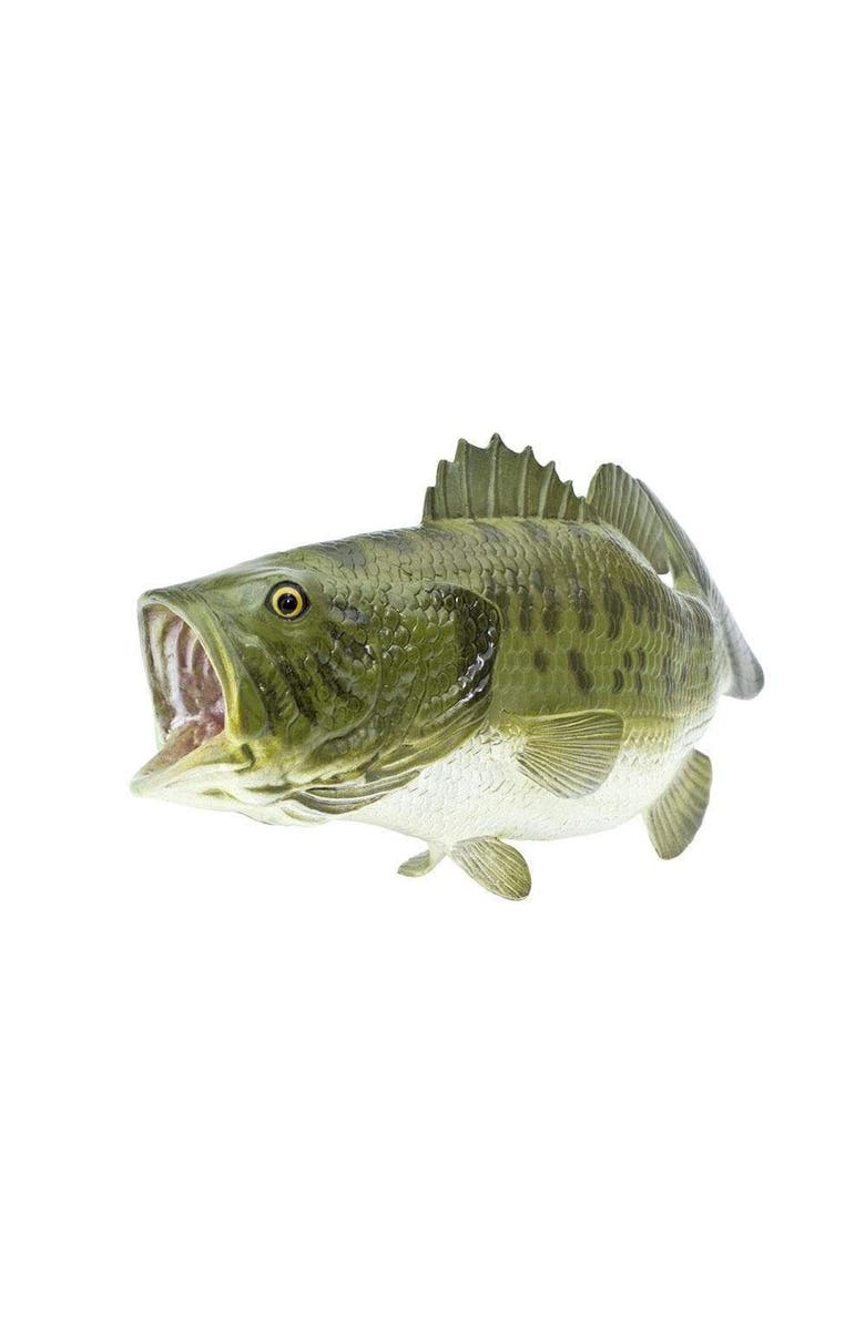 Safari Ltd. Largemouth Bass Toy, Alternate, color, NO COLOR
