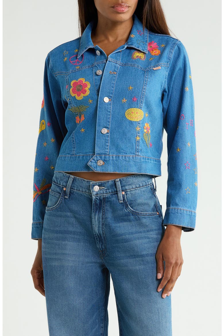 The Heyday Cropped Embroidered Jacket, Main, color, HODGEPODGE