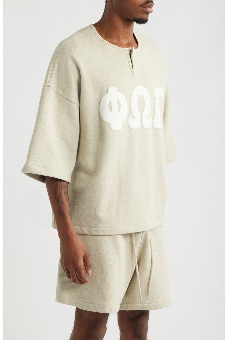 Appliqué Henley Sweatshirt, Alternate, color, WASHED VANILLA HEATHER