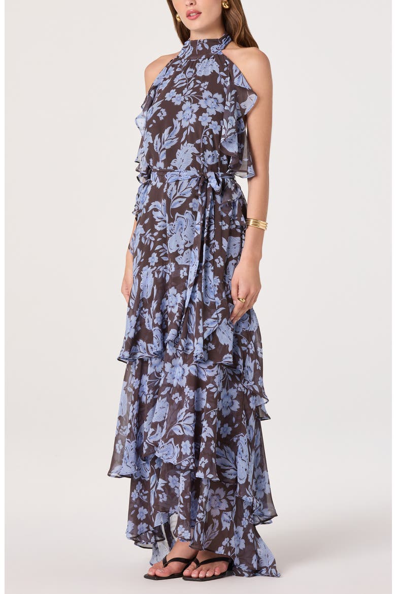 Floral Ruffle High Neck Maxi Dress, Alternate, color, BLUE BROWN FLORAL
