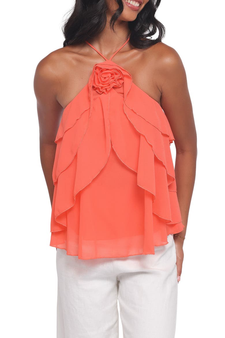 Zorina Halter Neck Chiffon Top, Main, color, SHERBERT