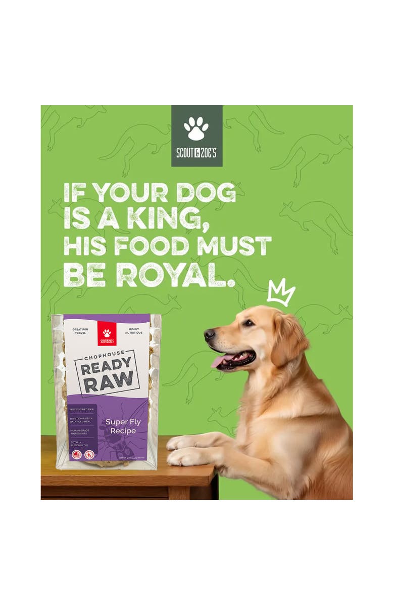 Scout & Zoe's Chophouse Ready Raw, Super Fly, 9 Dog Food Freeze Dried Patties, Alternate, color, Multicolored