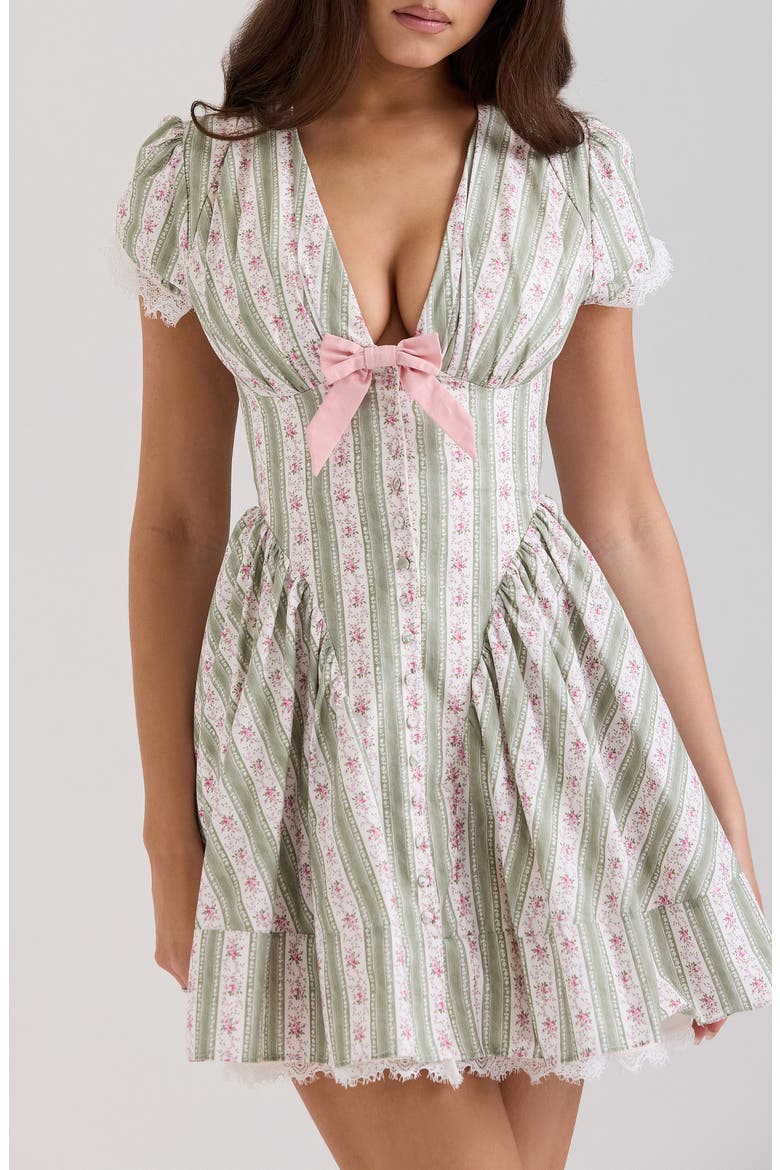Emiliana Floral Print Minidress, Alternate, color, ROSE STRIPE FLORAL GREEN