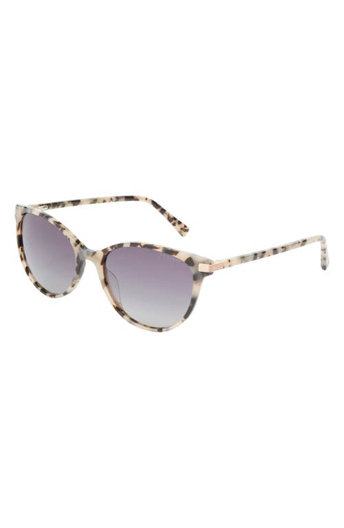 Ted Baker London 56mm Cat Eye Sunglasses In Ivory