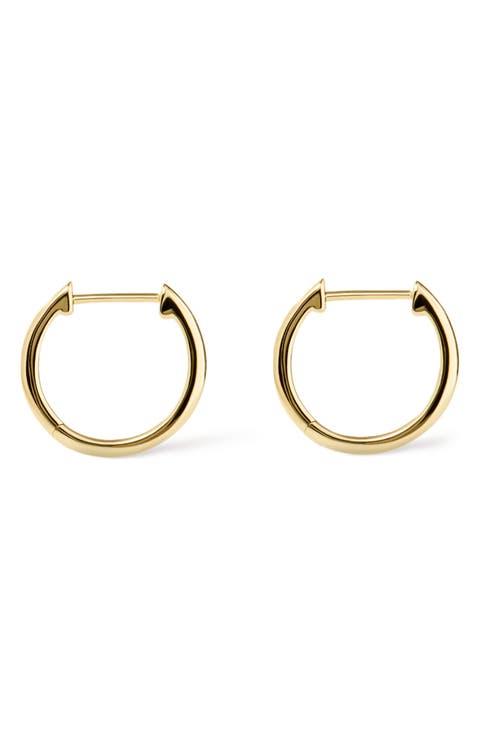 Small Hoop Earrings