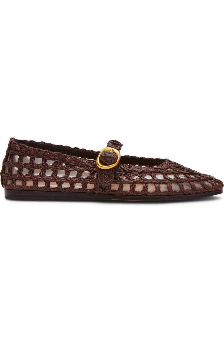 Steve Madden Melody Raffia Mary Jane Flat, Alternate, color, Brown Raffia