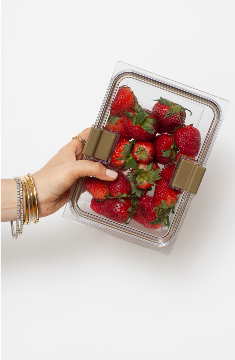 Modern Picnic THE FOOD CONTAINER, Main, color, Clear