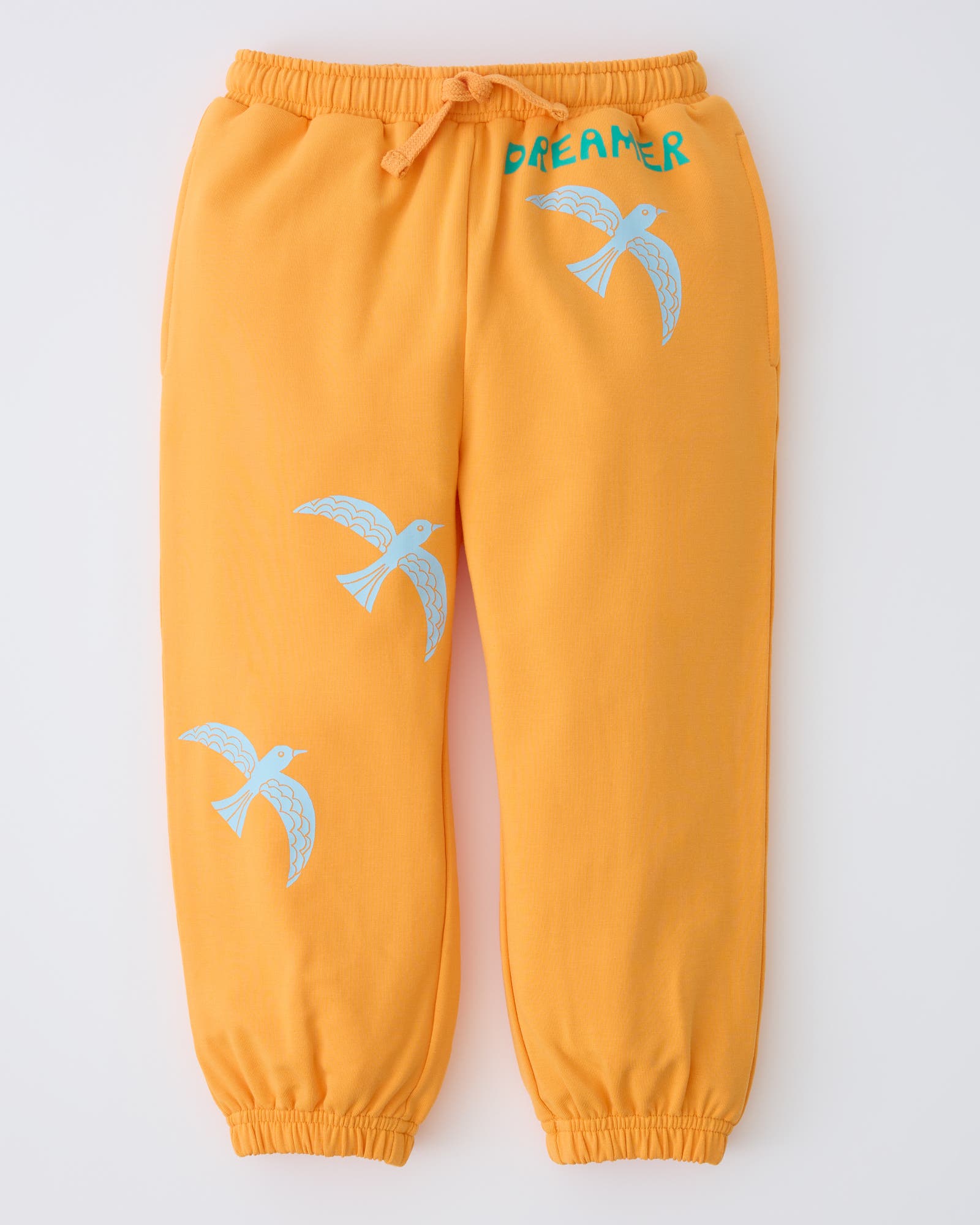 selected Orange Bird