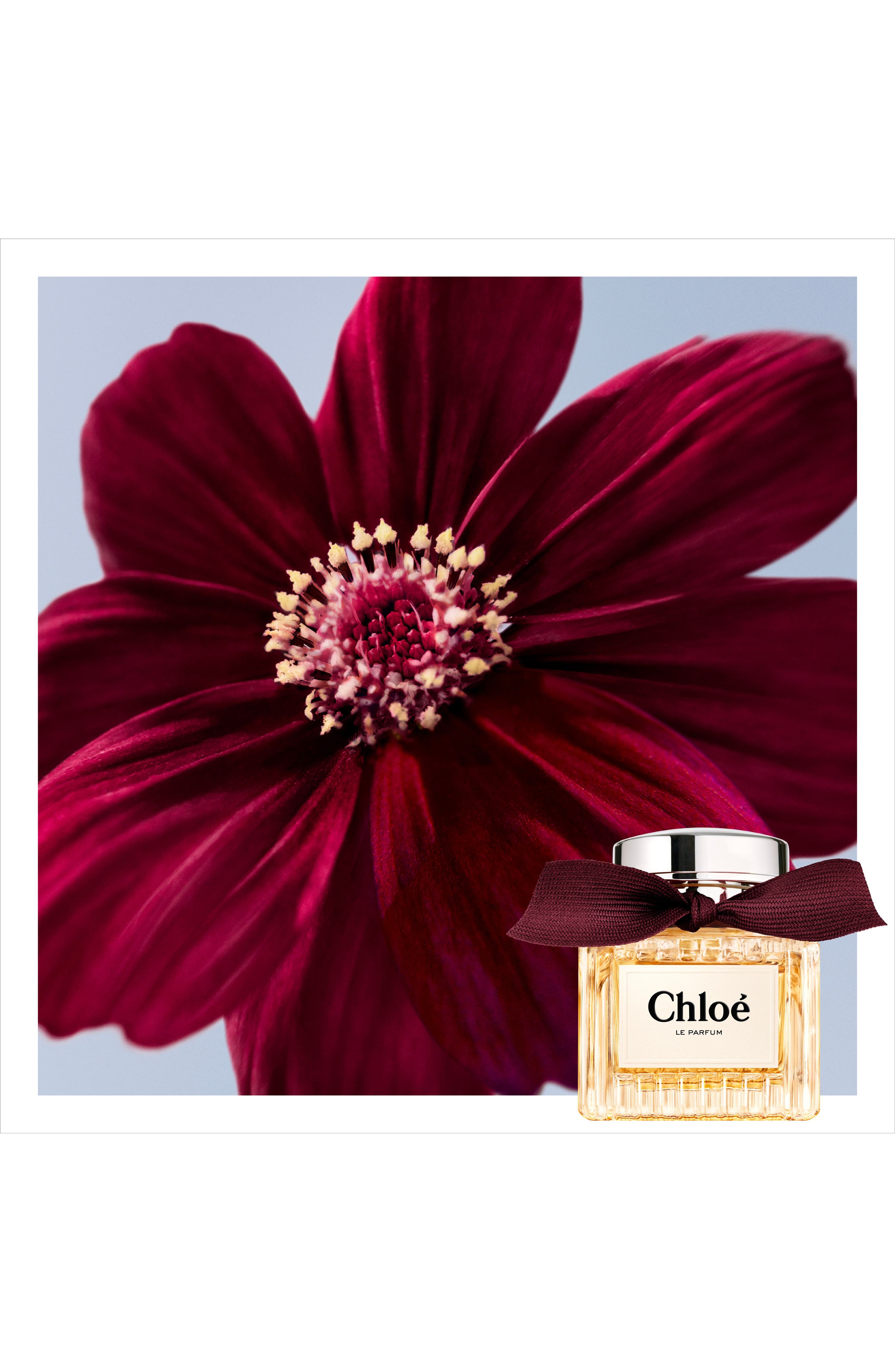 Le Parfum (Women) | Nordstrom