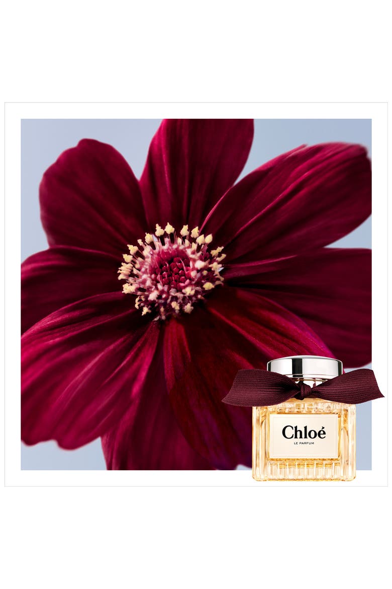 Le Parfum (Women) | Nordstrom