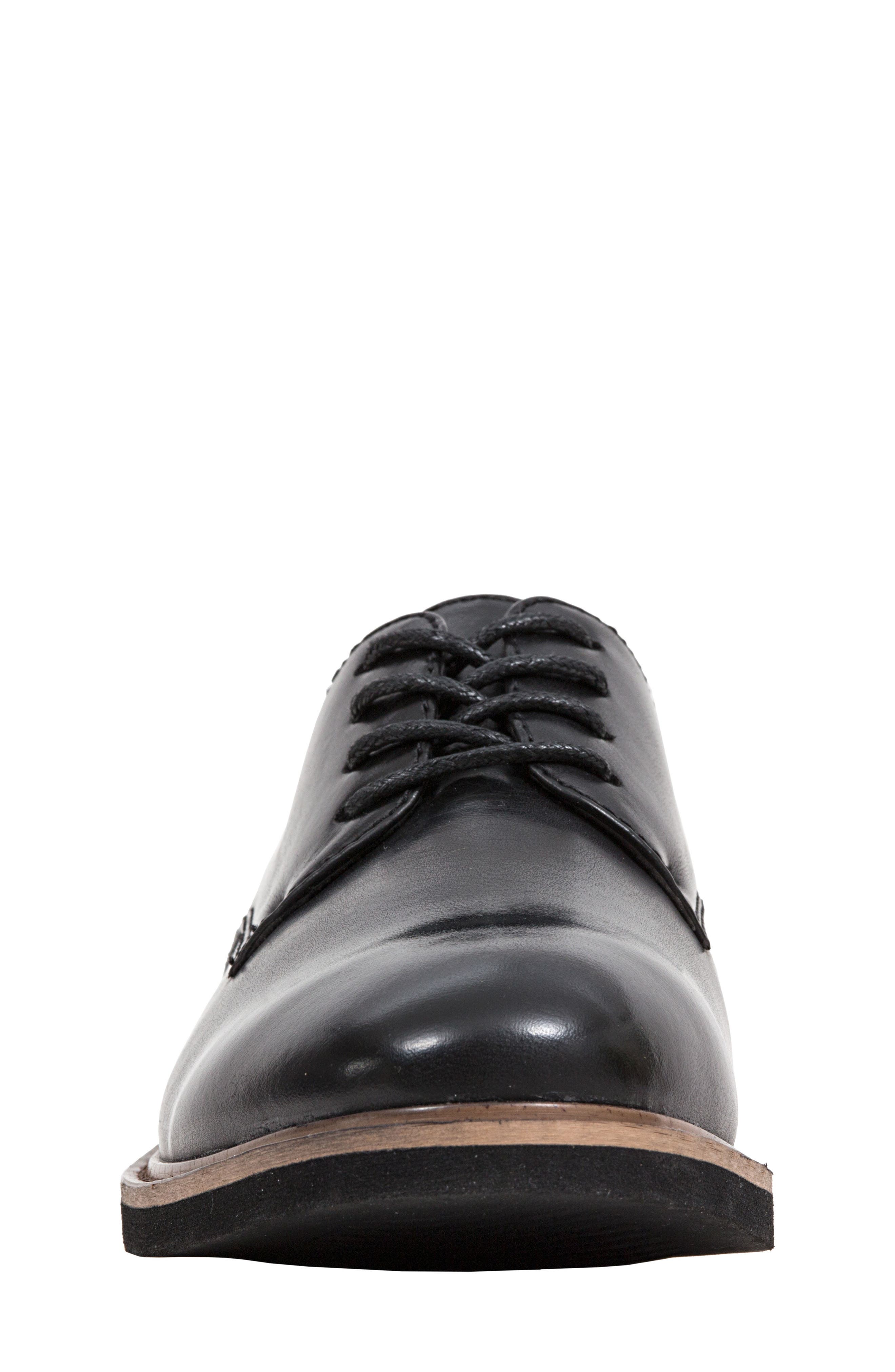 Deer Stags Denny Oxford, Alternate, color, 