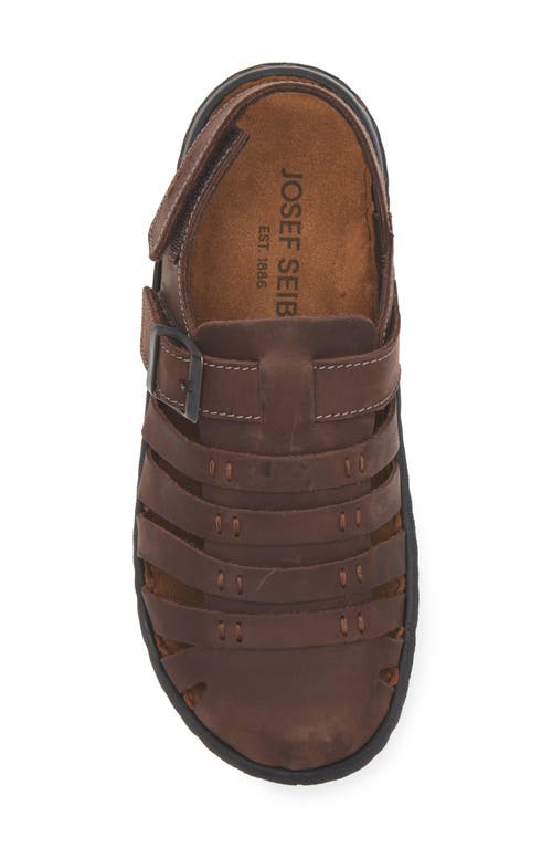 Josef Seibel Logan Slingback Sandal In Mocca