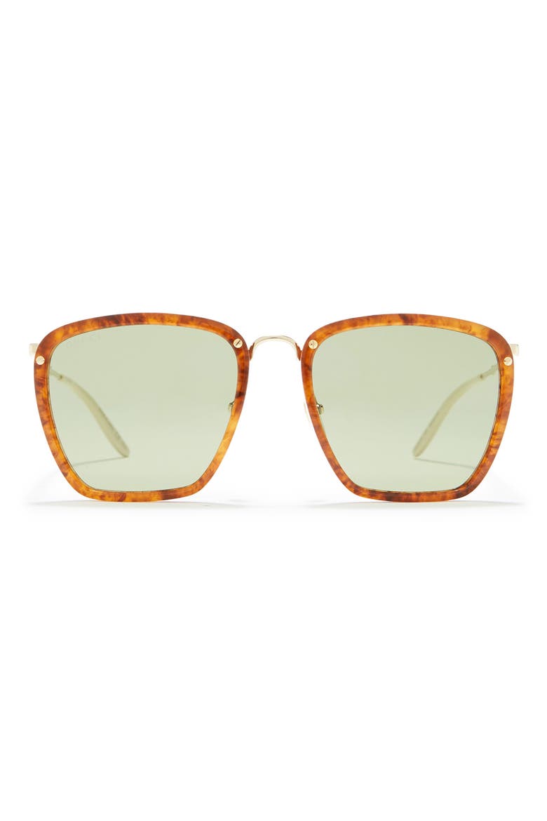 56mm Square Sunglasses, Main, color, HAVANA GOLD GREEN/ GRN