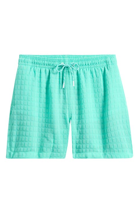 The Soft Lagoons 5.5-Inch Grid Textured Swim Trunks