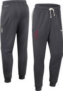 Nike Men's Nike Anthracite Alabama Crimson Tide 2026 Sideline Standard Issue Dri-FIT Taper Pants