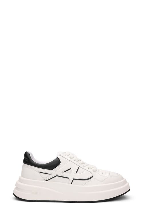 Ash Icone Platform Sneaker In White/black