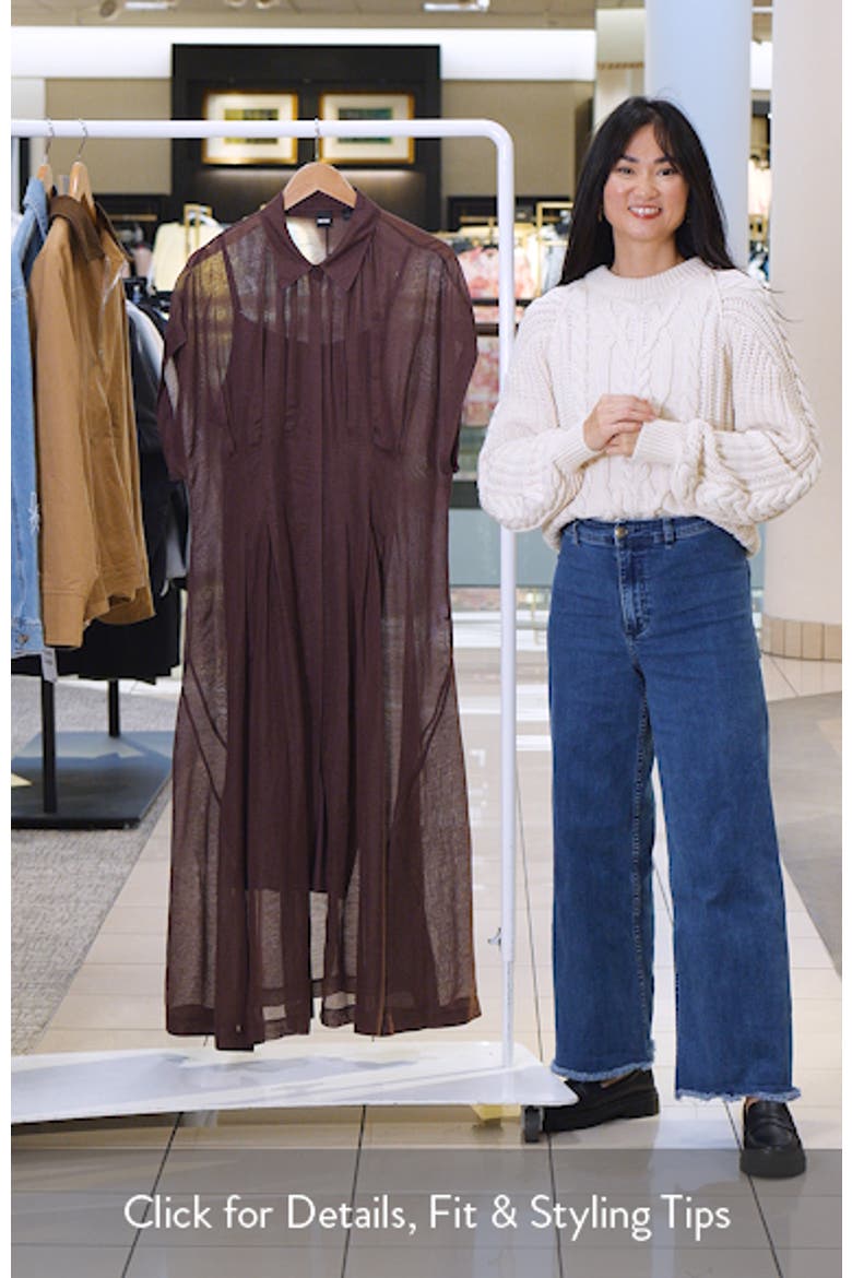 Davinata Sheer Pleat Shirtdress video
