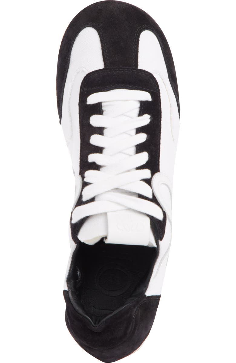 Loewe Ballet Runner Lace-Up Sneaker, Alternate, color,