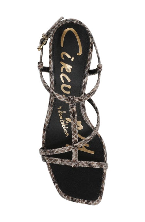 Circus Ny By Sam Edelman Jaida Snakeskin Embossed Strappy Sandal In Multi