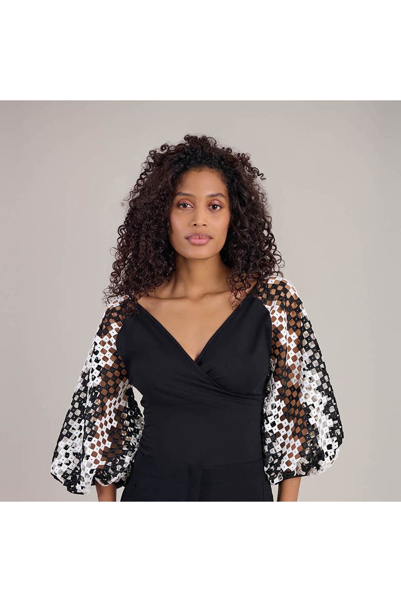 Women's  Mirella Black V-Neck Top With Sheer Mesh Sleeves, Alternate, color, Black