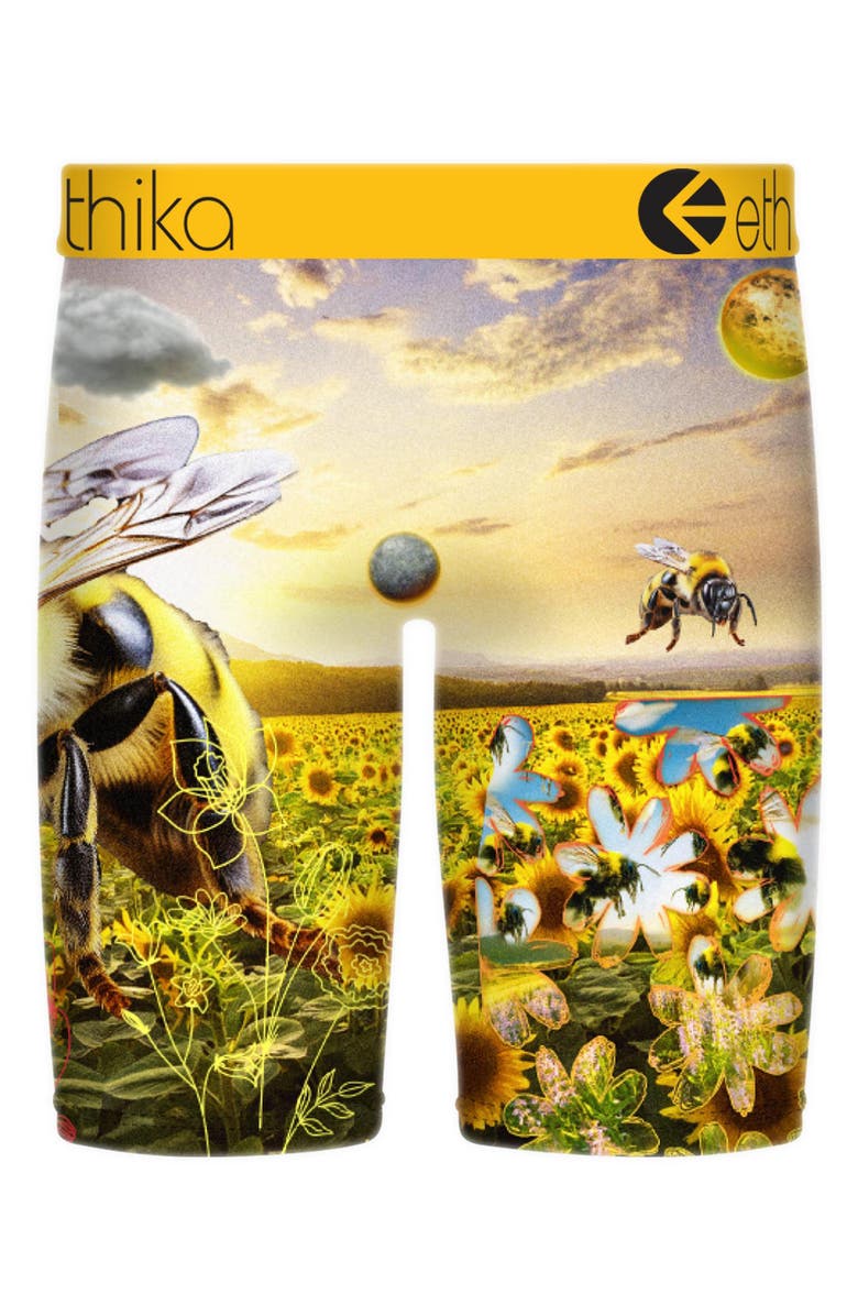 Ethika Kids' Honey Takeover Boxer Briefs, Alternate, color, Yellow