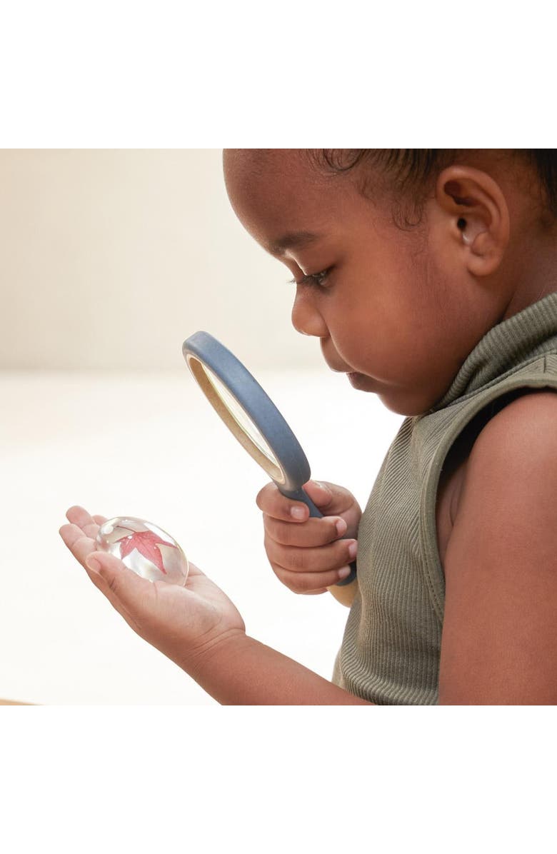 Kaplan Early Learning Company Specimen Stones Plants - 9 Pieces, Alternate, color, Clear