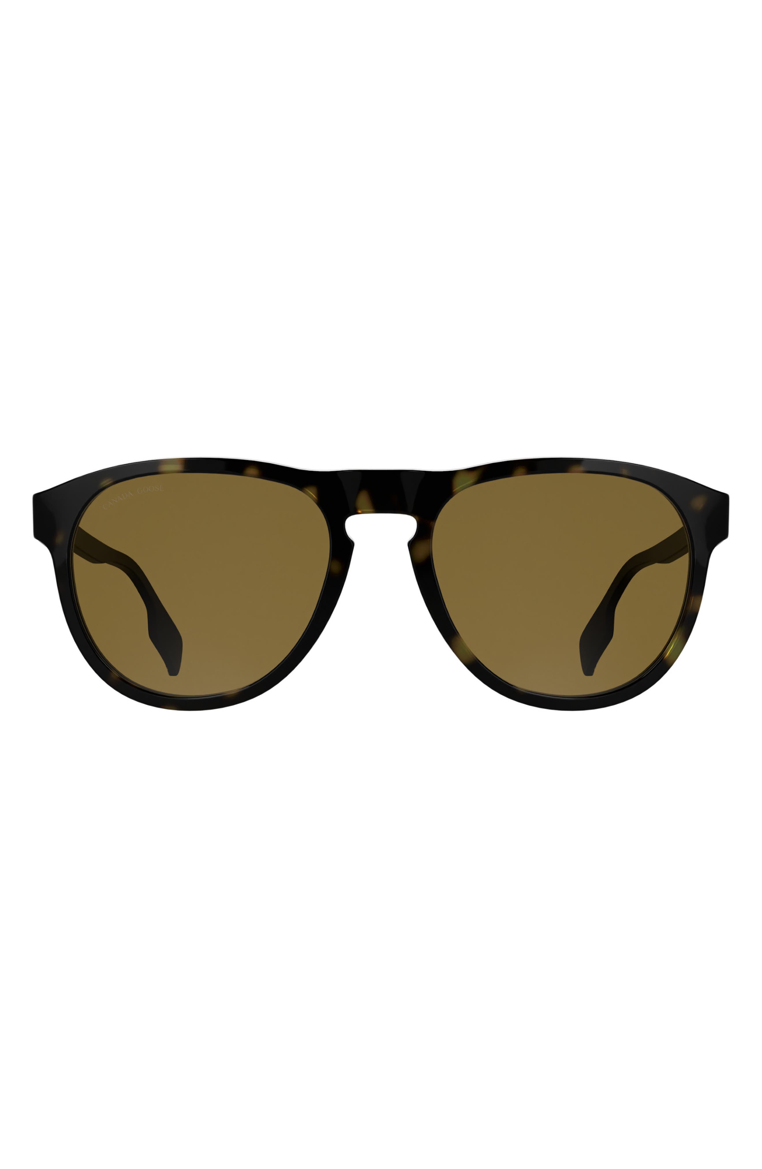 BLACK/ DARK HAVANA