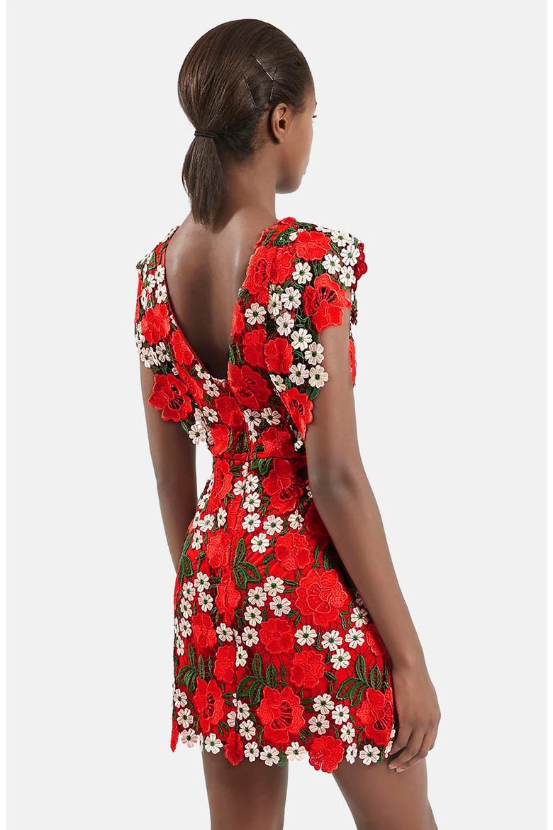 Floral Lace A-Line Dress, Alternate, color, RED MULTI