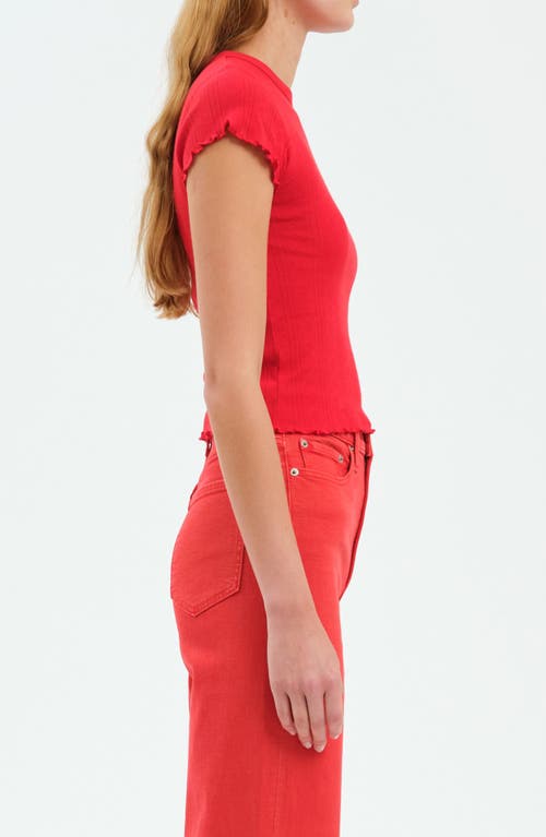 DAZE DAZE LILY COTTON POINTELLE T-SHIRT