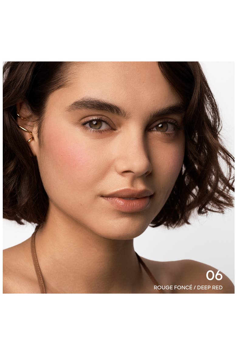 Terracotta Powder Blush, Alternate, color, 06 RED