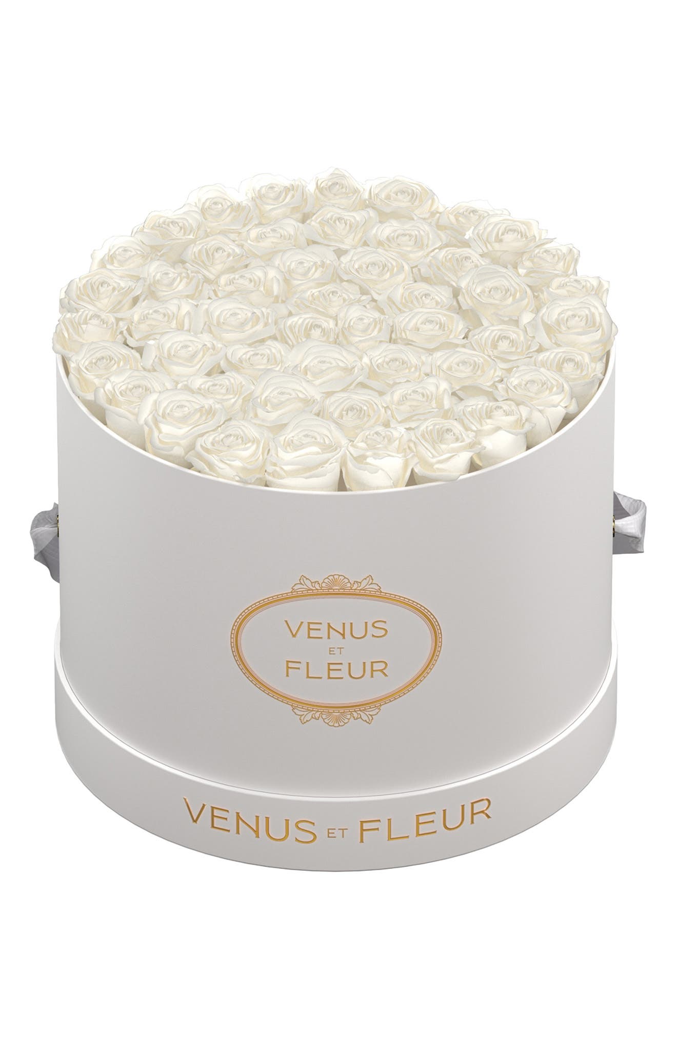 Venus ET Fleur Classic Large Round Eternity Roses - Pure White