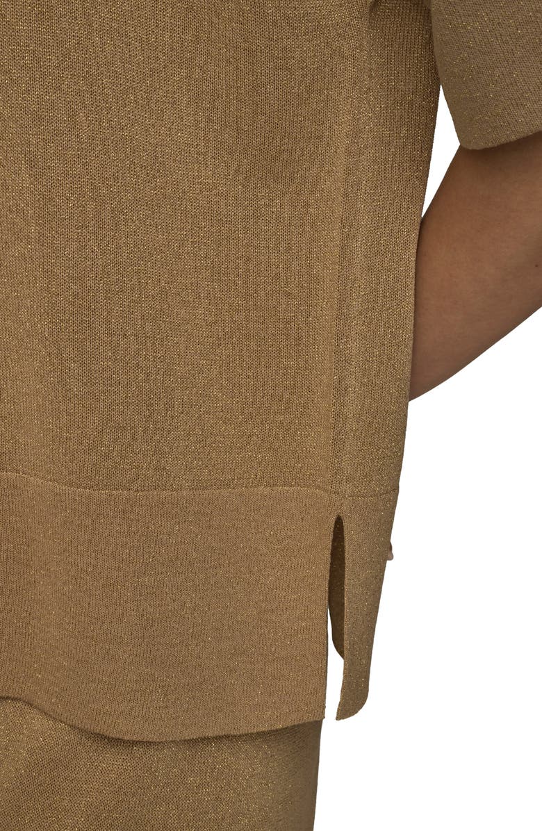 Donna Karan New York Metallic Short Sleeve Sweater, Alternate, color, Fawn Combo