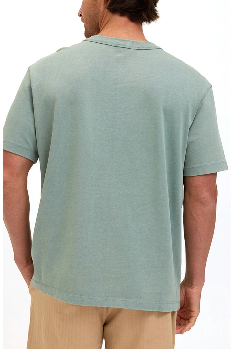 Lone Cactus Cotton Graphic T-Shirt, Alternate, color, SPEARMINT