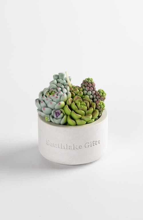 Southlake gifts Assorted Succulent Candle with Concrete Vessel in Light Gray /Off-White  product