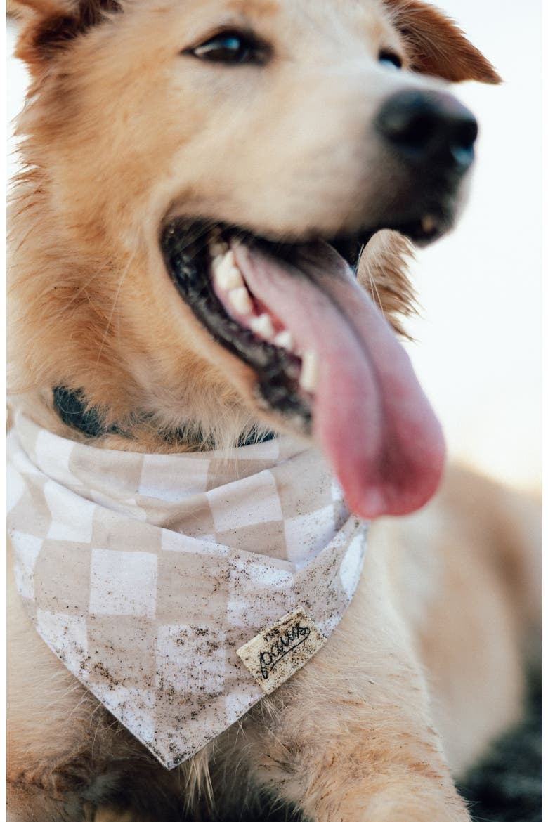 Checkers Dog Bandana, Alternate, color, BEIGE